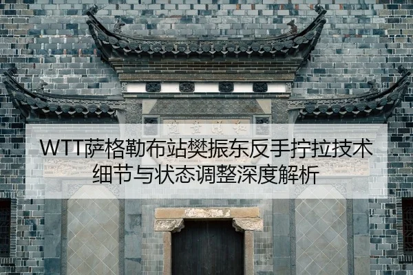 sa-ge-lei-bu-zhan-fan-zhen-dong-fan-shou-ning-la-ji-shu-xi-jie-yu-zhuang-tai-tiao-zheng-shen-du-jie-xi-2-429.jpg