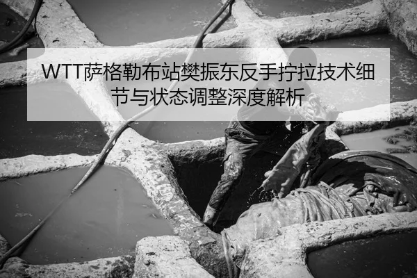 sa-ge-lei-bu-zhan-fan-zhen-dong-fan-shou-ning-la-ji-shu-xi-jie-yu-zhuang-tai-tiao-zheng-shen-du-jie-xi-3-807.jpg