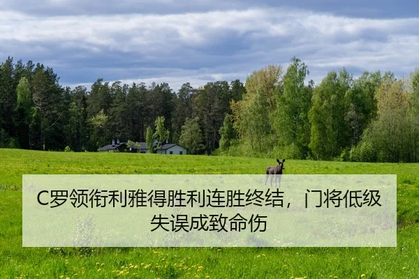 luo-ling-xian-li-ya-de-sheng-li-lian-sheng-zhong-jie-men-jiang-di-ji-shi-wu-cheng-zhi-ming-shang-1-532.jpg