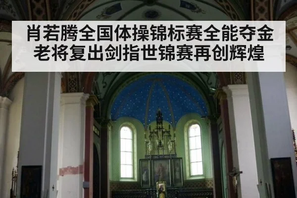 肖若腾全国体操锦标赛全能夺金 老将复出剑指世锦赛再创辉煌