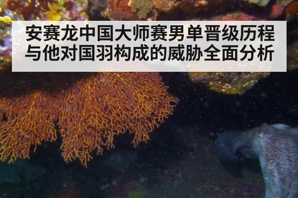 安赛龙中国大师赛男单晋级历程与他对国羽构成的威胁全面分析